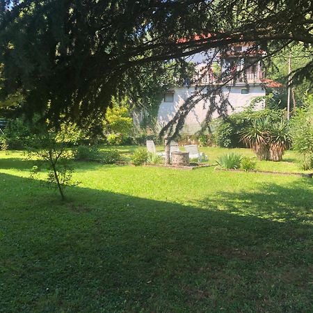 Vila Labod, Unique Villa At The Lake Most na Soči Zewnętrze zdjęcie
